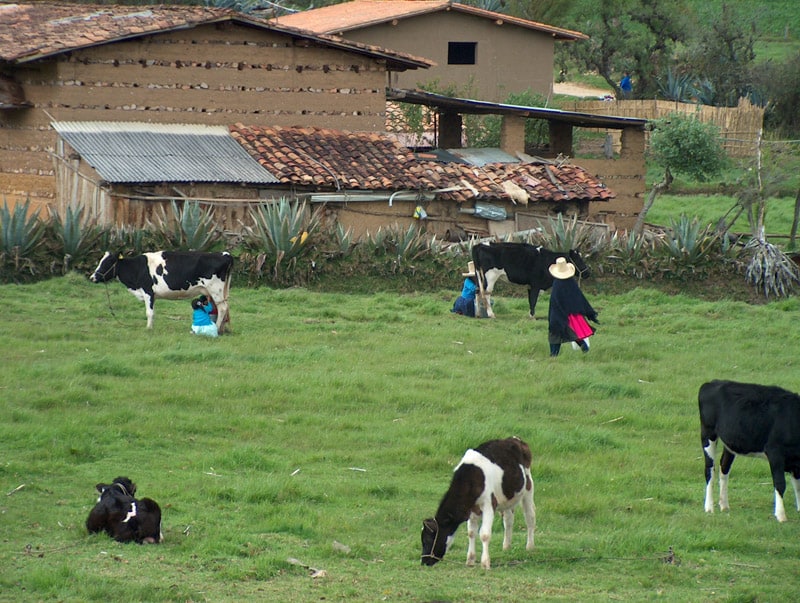 Impressions from a Trip to Northern Peru (Lima, Trujillo, and Beyond)