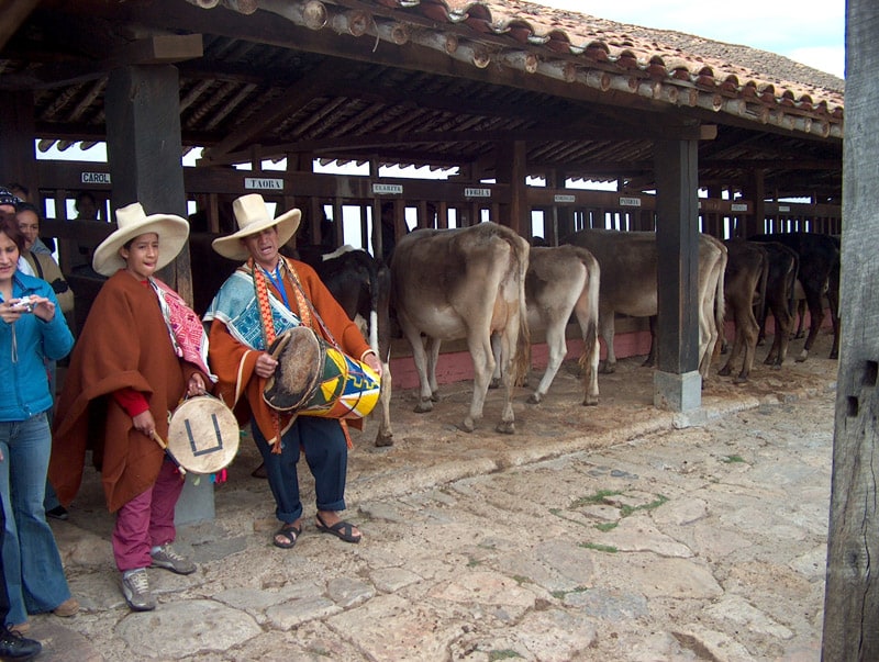 Impressions from a Trip to Northern Peru (Lima, Trujillo, and Beyond)