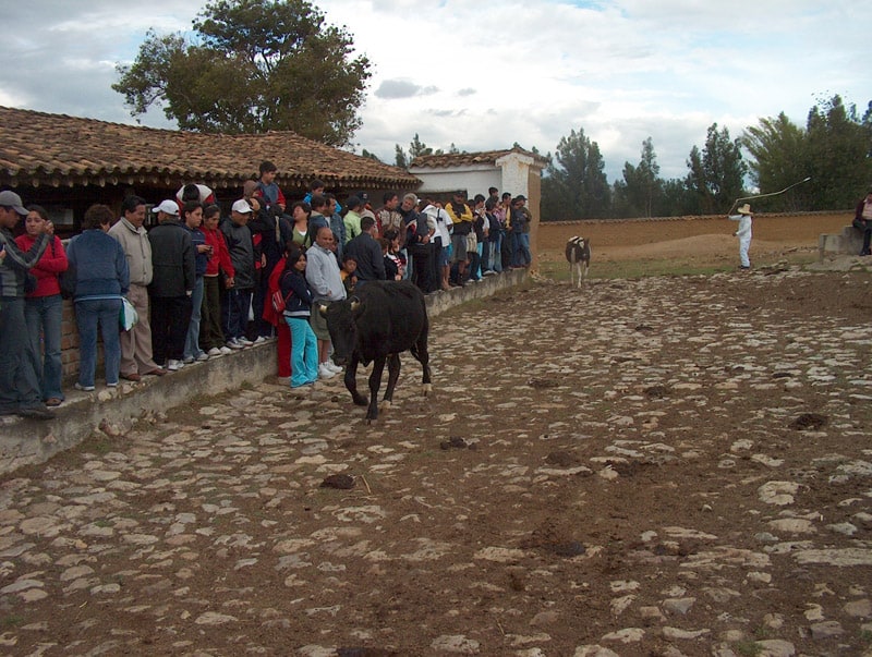 Impressions from a Trip to Northern Peru (Lima, Trujillo, and Beyond)