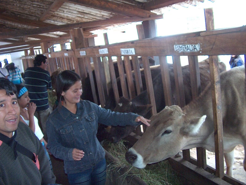 Impressions from a Trip to Northern Peru (Lima, Trujillo, and Beyond)