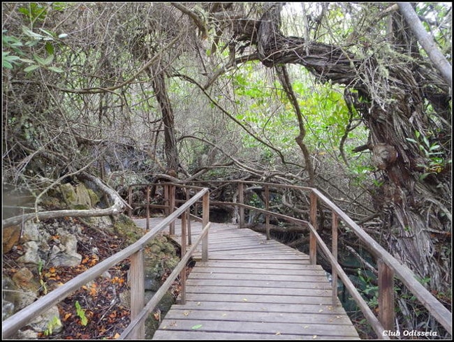 Knowledge in Shamanism, Peru, September 2015