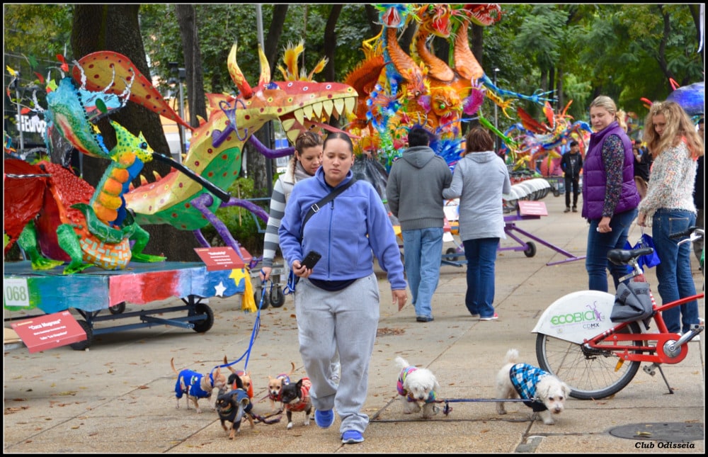 Shamans and Healers of Mexico, October 2015