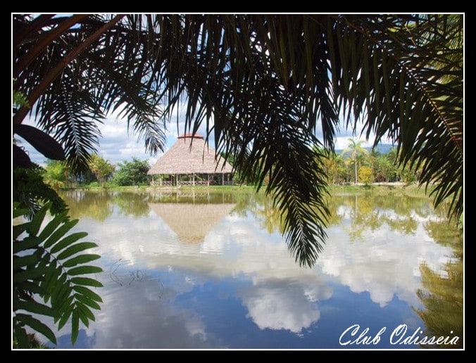 Secrets of Amazonian Shamanism in Peru, March 2016