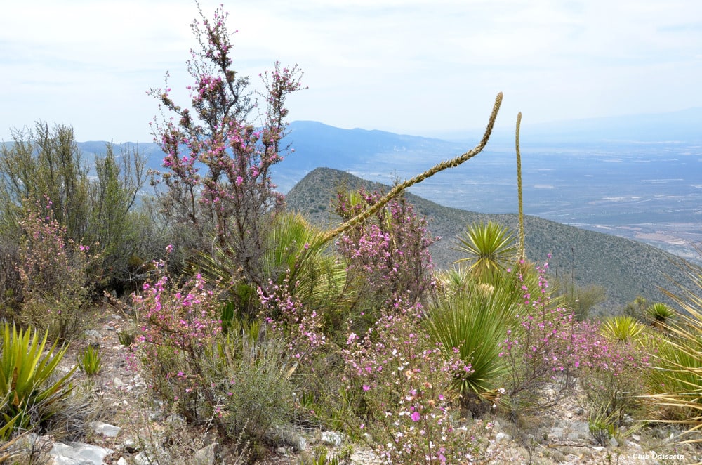 Mystical and Shamanic Mexico, May 2016