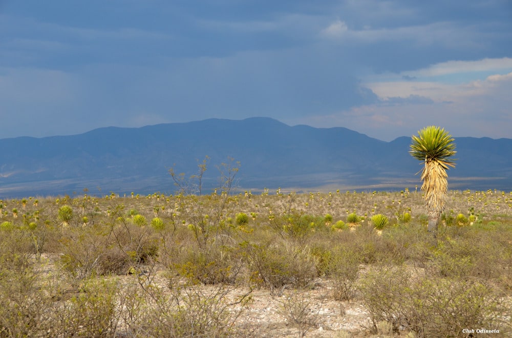 Mystical and Shamanic Mexico, May 2016