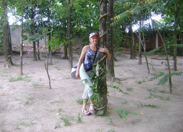 Ayahuasca Vines Garden