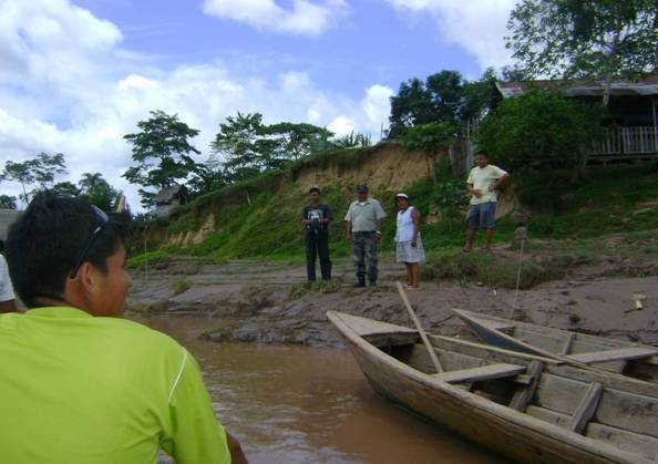 In the Amazon Jungle