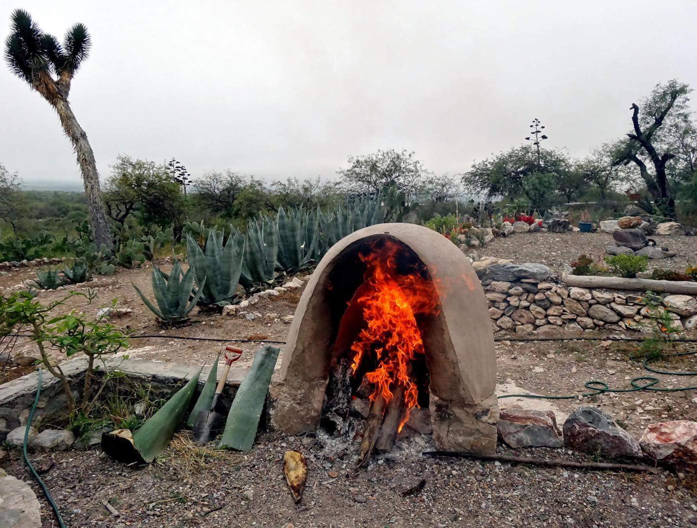 Preparation for the Temazcal Ceremony